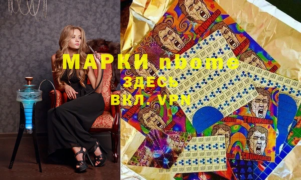 прущие грибы Краснотурьинск