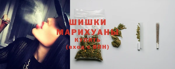 прущие грибы Краснотурьинск