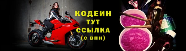 прущие грибы Краснотурьинск
