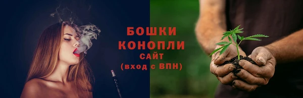 трава Краснослободск