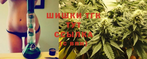 прущие грибы Краснотурьинск