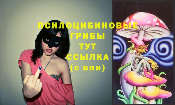 прущие грибы Краснотурьинск