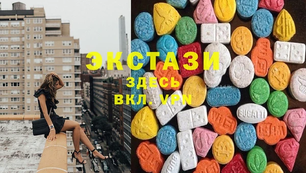 прущие грибы Краснотурьинск