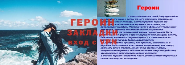прущие грибы Краснотурьинск