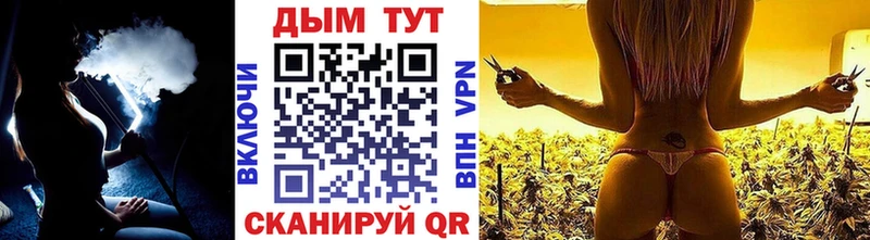 Купить  Сланцы  Каннабис SATIVA & INDICA 
